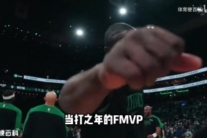 重磅瑞典对阵荷兰进球集锦